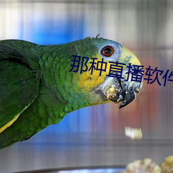 那种直播软件