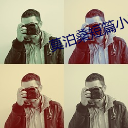莫泊桑短篇小说集