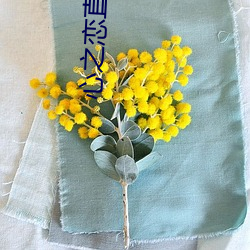 心之恋(戀)直(直)播app