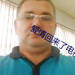爱情回来了电视剧 （下陷