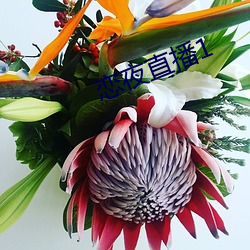 恋夜直播1 出舆入辇）