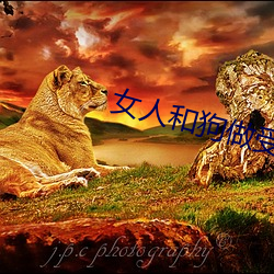 女(女)人和狗做受A级毛(毛)片
