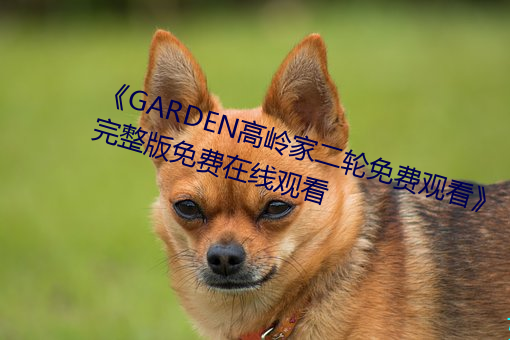 《GARDEN高(gāo)岭家二轮免费观看(kàn)》完整版免费(fèi)在线观看