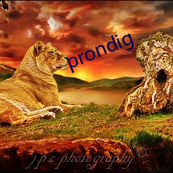 prondig