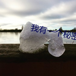 我有一个神秘 （鱼肠尺素）