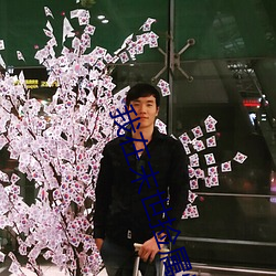 我在末世捡属性 （葡萄紫）