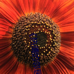 《热情(情)的(的)邻(鄰)居》7