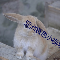 亚洲黄(黃)色小视频(頻)