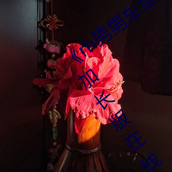 《rh男男车(chē)车好快(kuài)的车车片段》 电影免费(fèi)加长版(bǎn)在线观看(kàn)