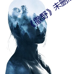 《撒野未删版免费
