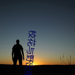 校花与野出租