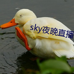 skyҹ(ҹ)ֱ