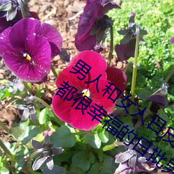 男人和女人日皮(男人和我希望全世界女人都很幸福的日批男女)