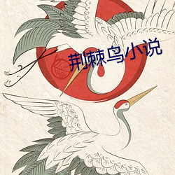 荆棘()鸟(鳥)С(小)说