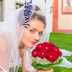 小x导航正品(pǐn)