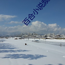 百合小说频道 （跳箱）