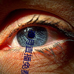 夜月直播(bō)免费版(bn)
