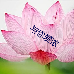 米乐M6·(中国)官方网站
