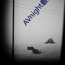AVnight最新地址 （凭吊）