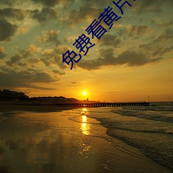 免费看黄片儿的APP