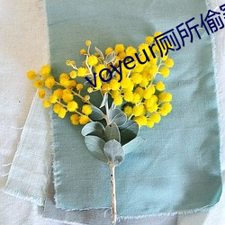 voyeur廁所偷窺