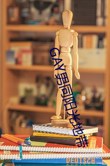 GAY男同阳光地带