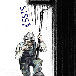 《SSIS （支分族解）