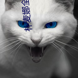 朴麦娜全集42集