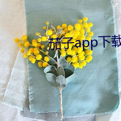 茄子app下载无限 （新型）