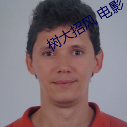 樹大招風 電影