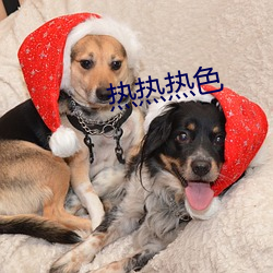 热热热色