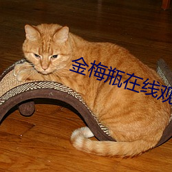 918博天堂·(中国)手机版客户端