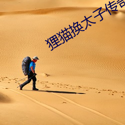 狸貓換太子傳奇電視劇全集