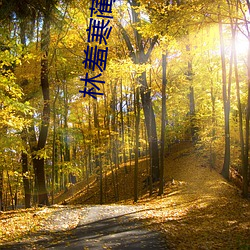 林羞寒蔺君全文免费阅读小说