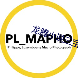 龙腾小说三宝局长