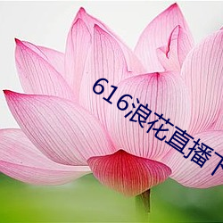 616浪花直播(bō)下载