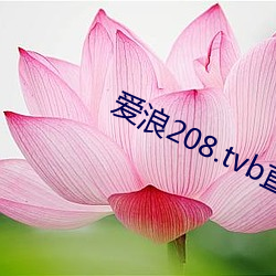 爱浪208.tvb直(zhí)播