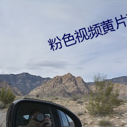 粉色(sè)视频黄片软件
