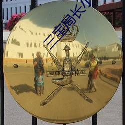 三(sān)宝局(jú)长小说(shuō)