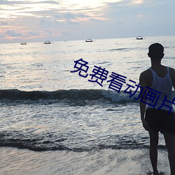 免费看动画片