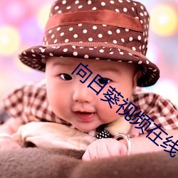 向日葵视频在线下载