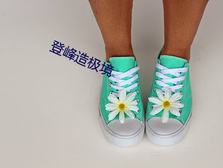 登峰造(造)极境
