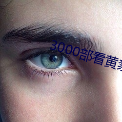 3000部看黄禁用(yòng)免费