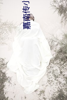 嘉(jiā)南传小说(shuō)