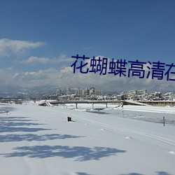 花蝴蝶高(gāo)清在线观看