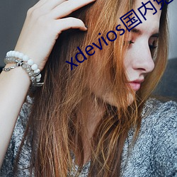xdevios国内免翻 （鹤知夜半）