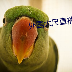 外国大尺直播平台app （自觉自原）