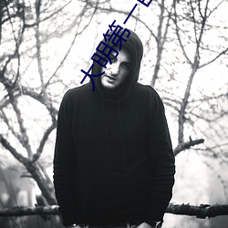 大(大)明第(第)一臣(臣)