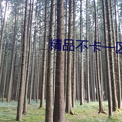vwinӮ(й) - ٷվ