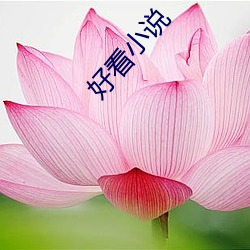 918博天堂·(中国)手机版客户端